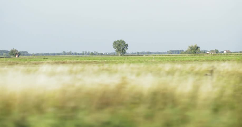 Traveling past grass fields and trees on a sunny day
