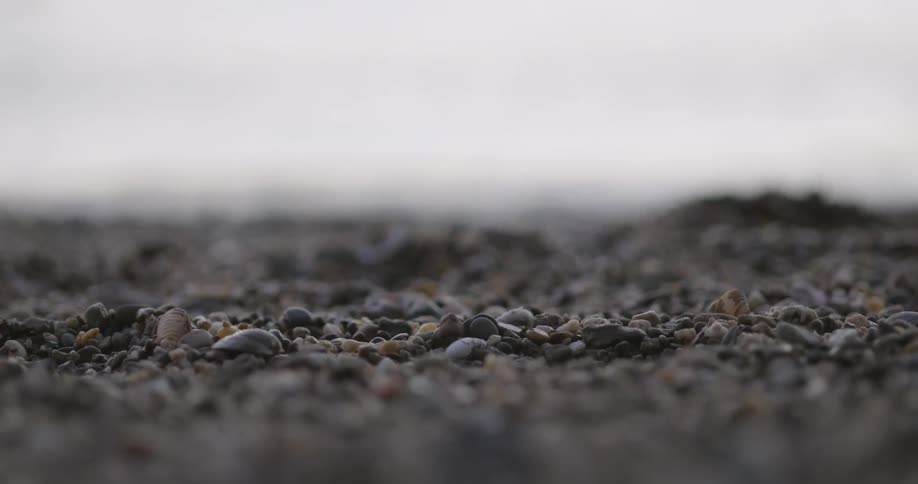 Person picks up a pebble at the beach