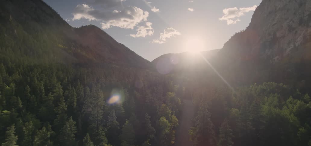 The sun shines over a mountain peak on the tree tops