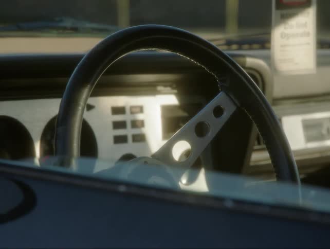 Car steering wheel