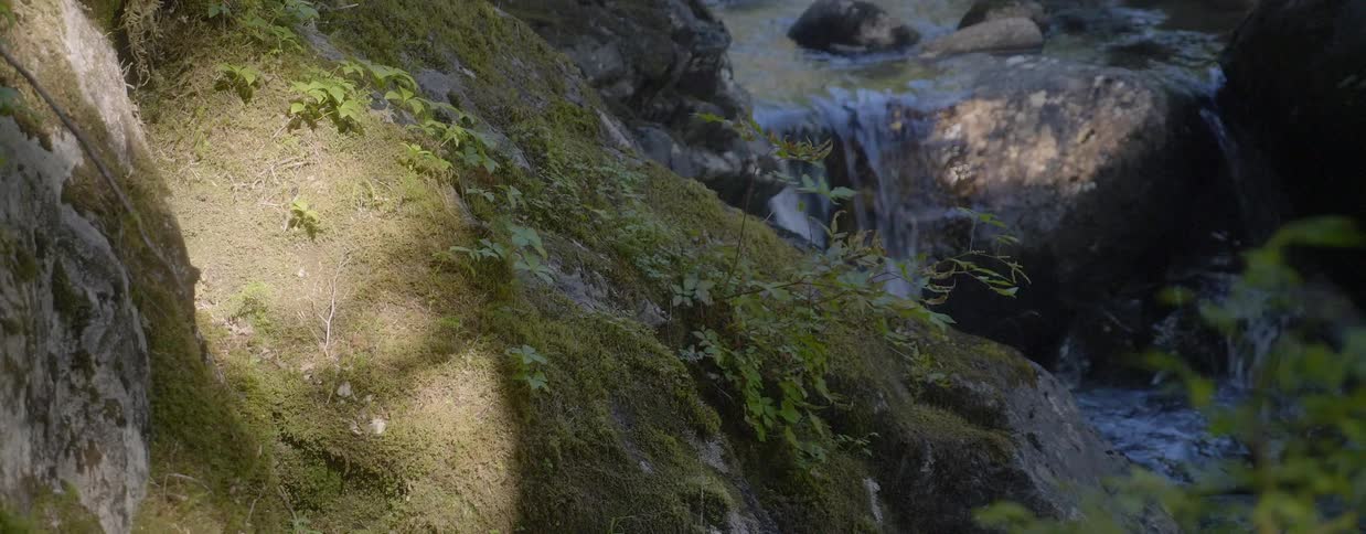 Water is trickling over a rock ledge in a stream during the day
