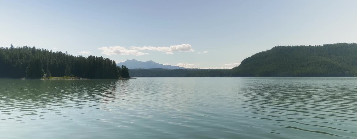Trees line the banks of a mountain lake