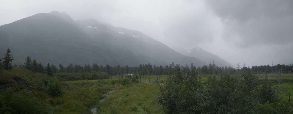 Clouds hover over trees in a mountain valley