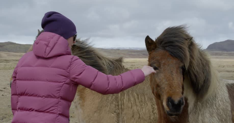 Woman touches a horse outside on windy day