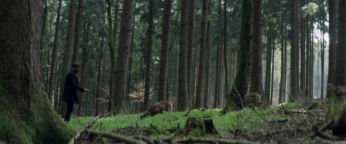 A man stands near deer in a forest