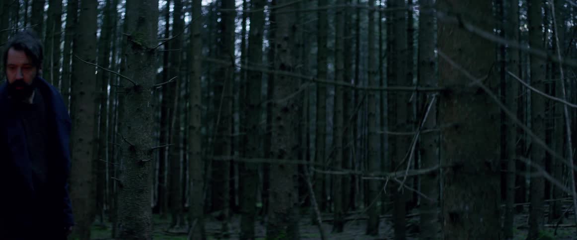 A man carrying a torch is walking through the door woods