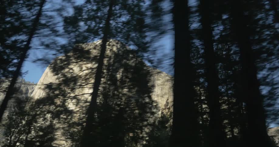 View from behind a forest of a high mountain