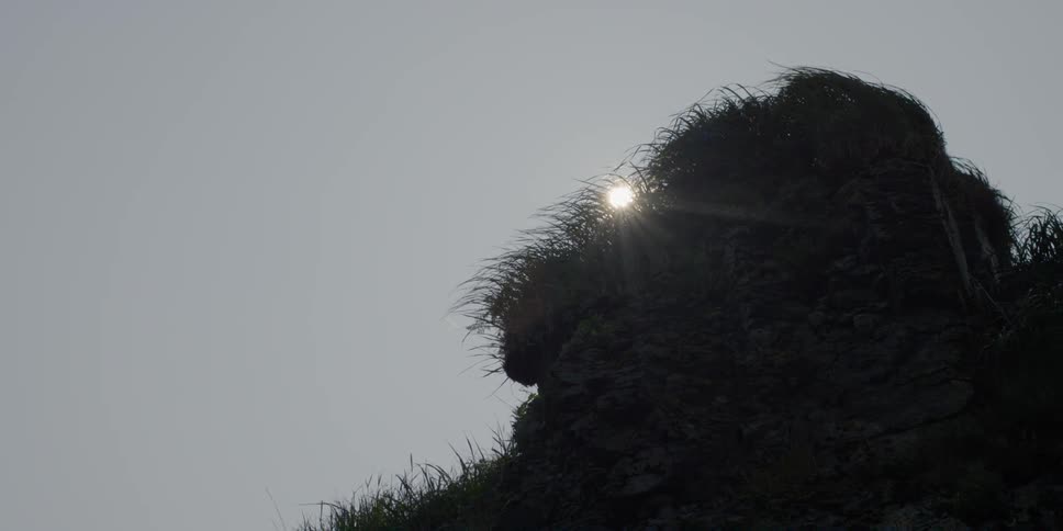 Eagles are flying off a cliff and circling around