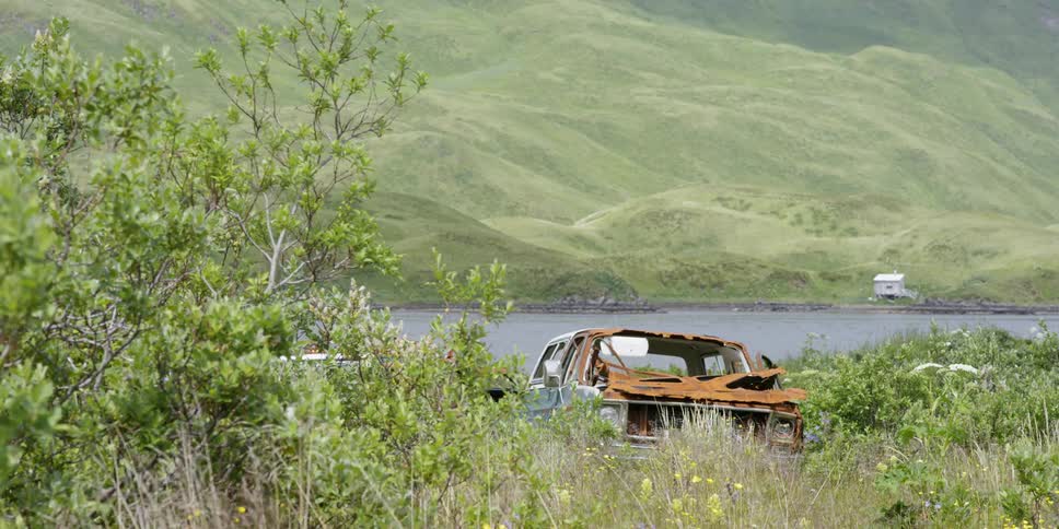 A destroyed rusted out car is in the bushes next to a lake