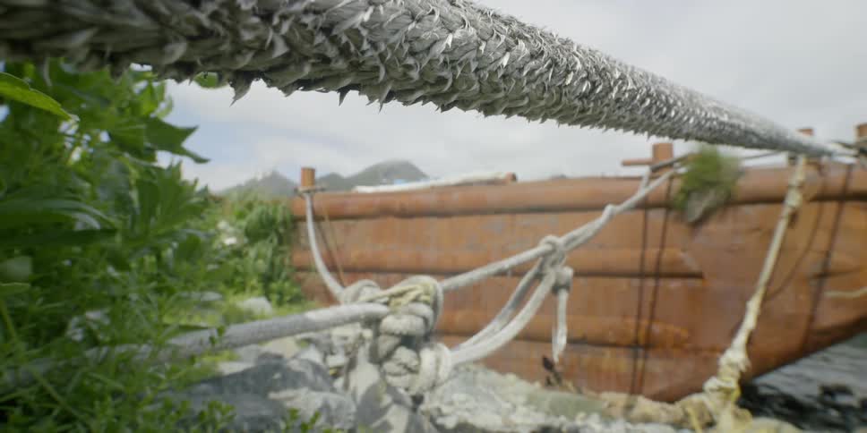 A rope is tied from shore to a boat