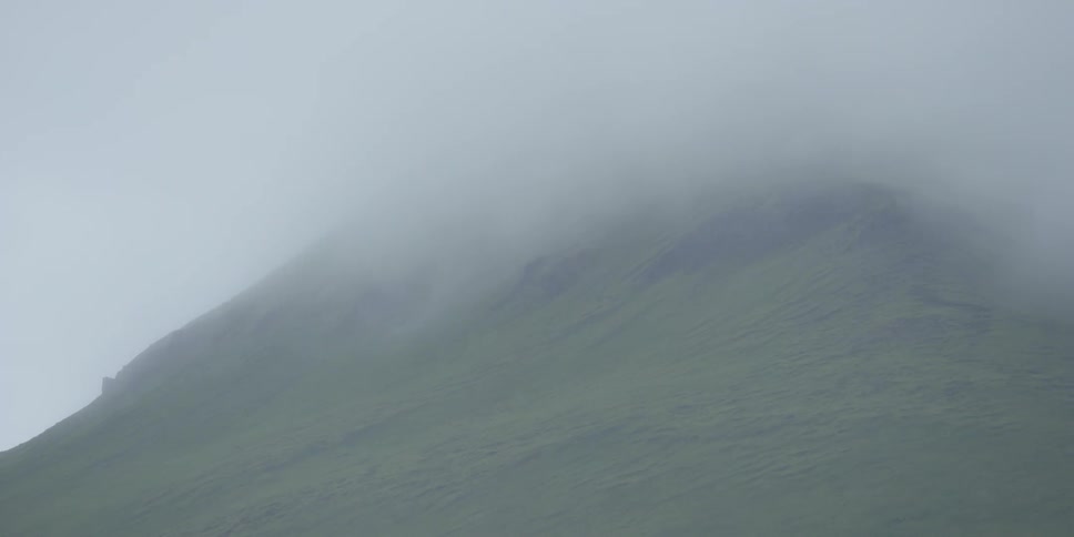 A foggy hillside