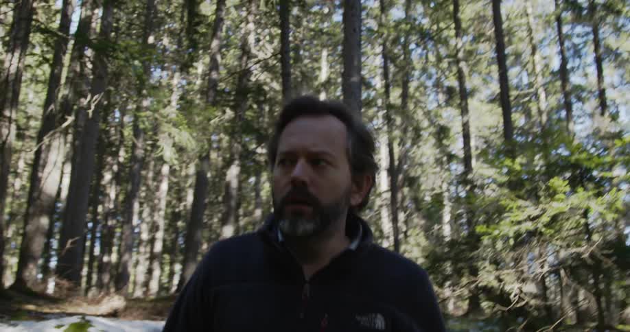 A man looks around suspiciously in the woods