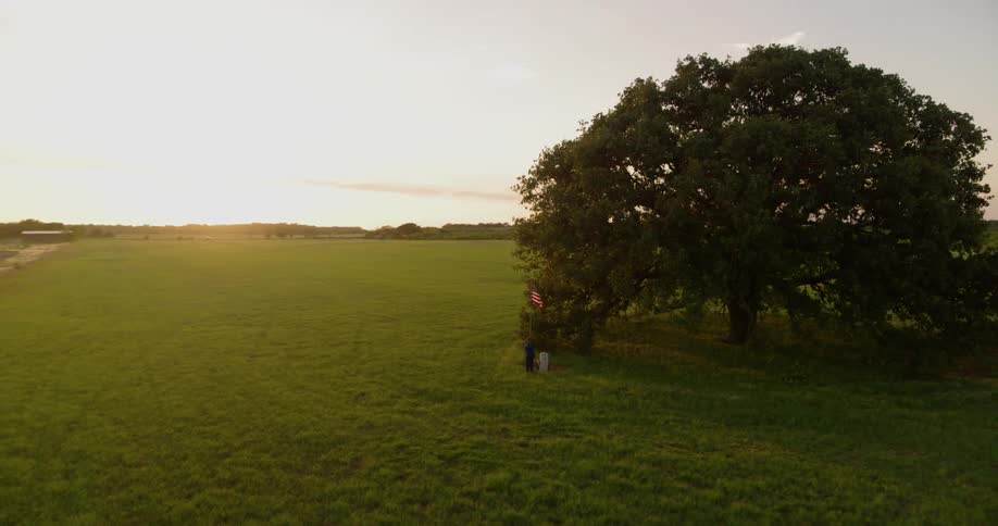 Large tree standing in a grassy field at sunset with an american flag waving in front of it