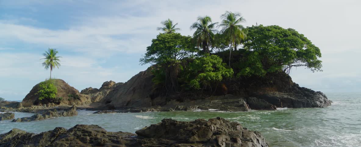 A small palm tree covered island is surrounded by shallow water