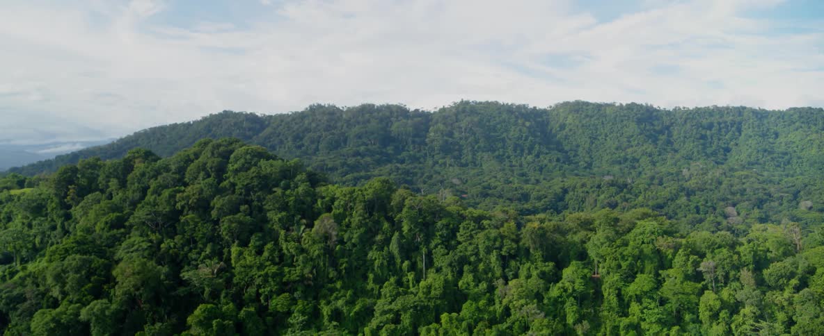 Aerial view of tree covered mountains on a cloudy day