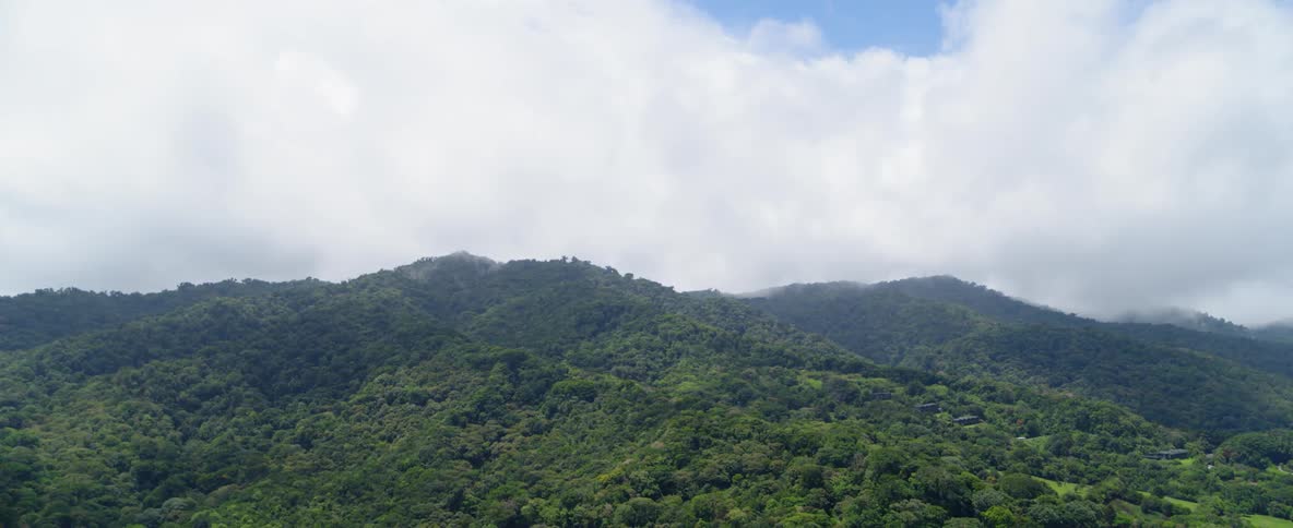 A tree covered mountain in the distance