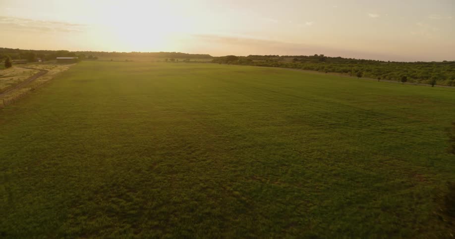 The sun sets on the horizon of a grassy field