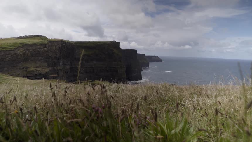 Grass waves in the breeze on the coast