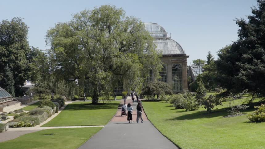People walk on a path in a park