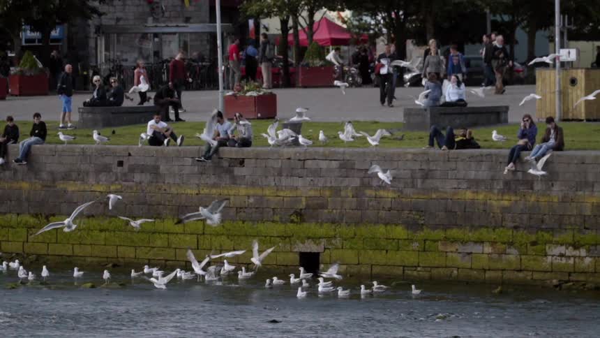 Seagulls are flying near a seawall where pedestrians are sitting and walking