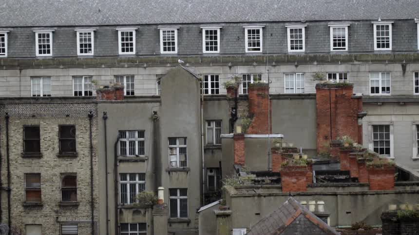 The top of the roof has many chimneys