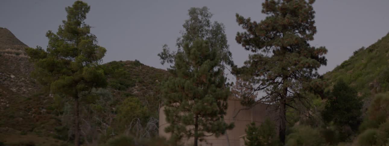 The trees line the side of this building