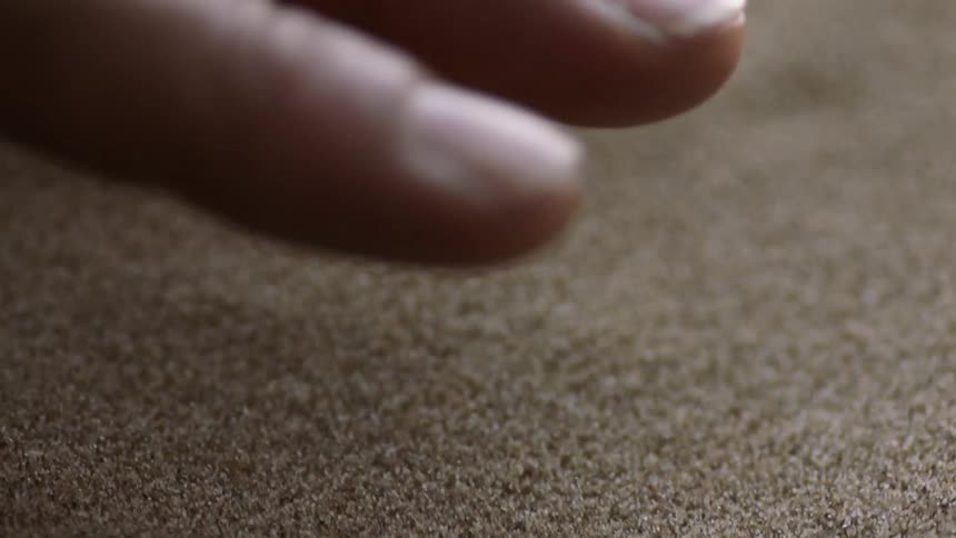 Particles of sand vibrate beneath fingers