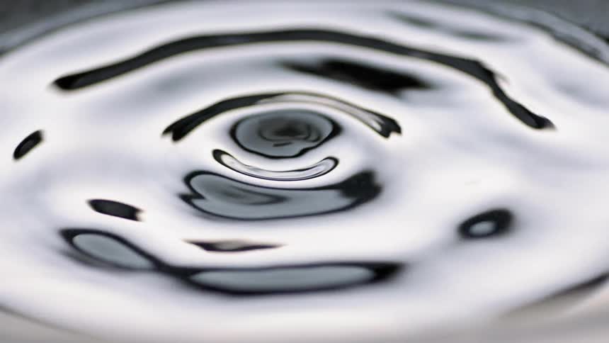 Terse waves form in water