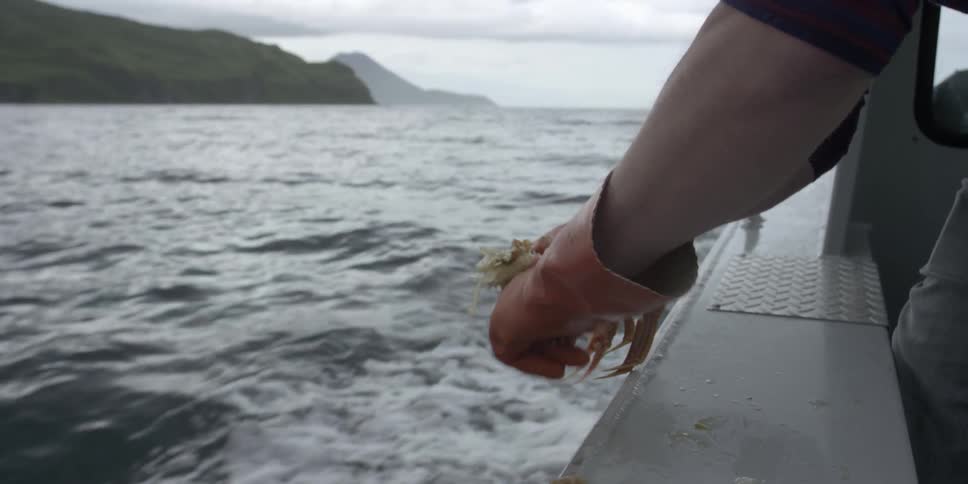 A fisherman is splitting a crab apart and tossing bits into the ocean during the day