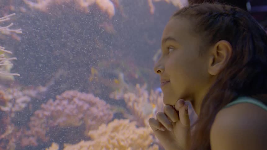 A little girl is smiling as she watches fish swim in an aquarium