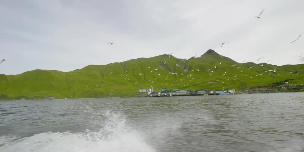 A boat travels by seagulls and green hills