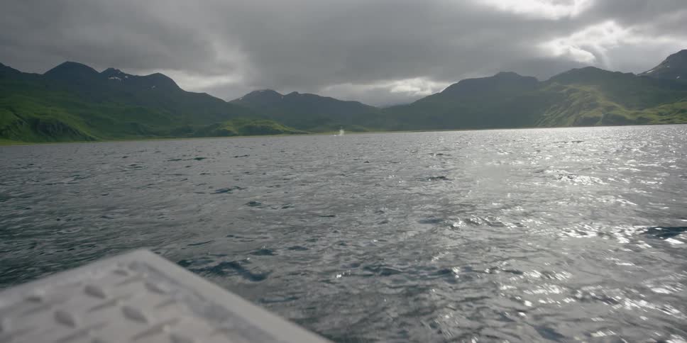 The boat is moving through the ocean water