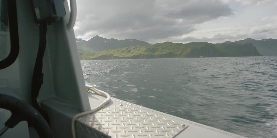 A boat travels on the water