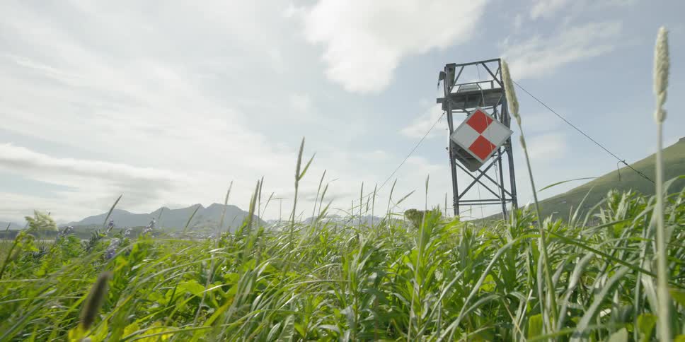 The tall grass leads to a tower with a sign on it