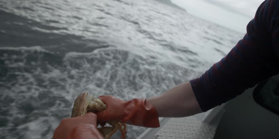 Man breaks off crab legs while riding on a boat