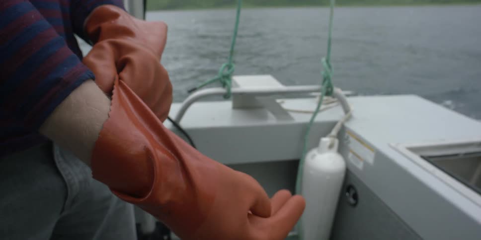 A person on a boat puts on rubber gloves