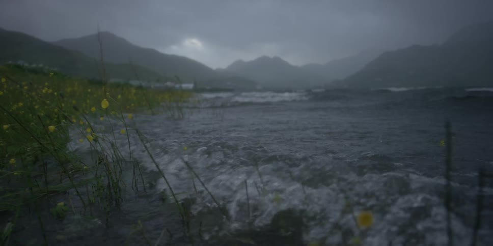 Waves lap at flowers on a shore on a stormy day