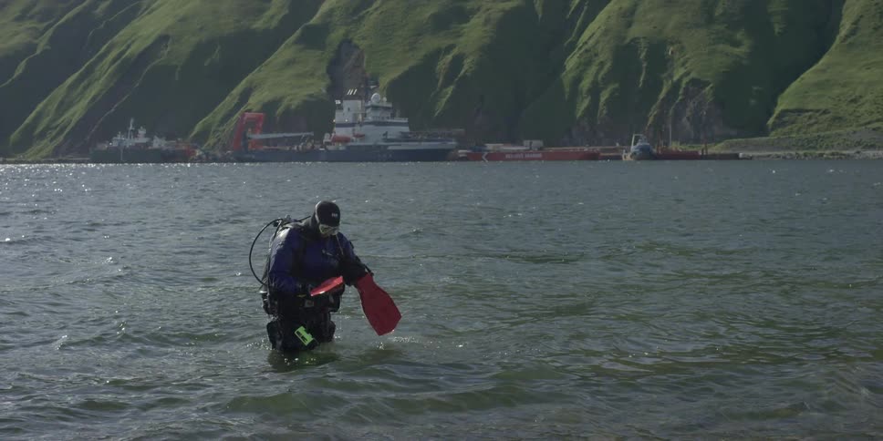A scuba diver stands in a lake