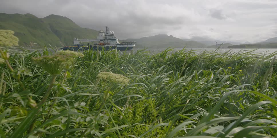 Grass waves in the wind on the shore where a boat is going past