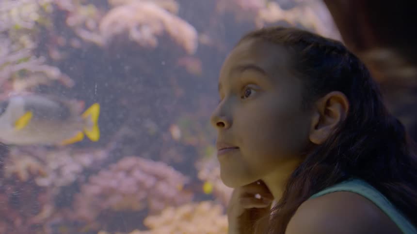 Little girl watching tropical fish swim in large aquarium