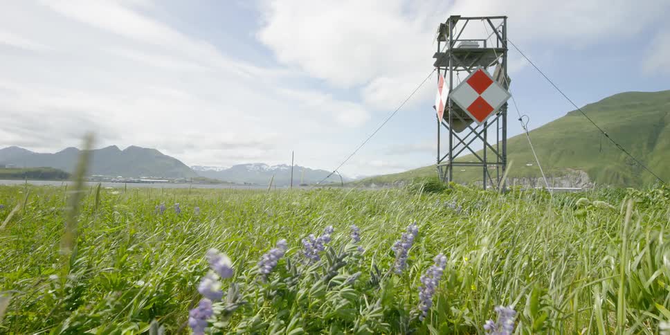 Wildflowers blow in the breeze near some equipment on a cloudy day