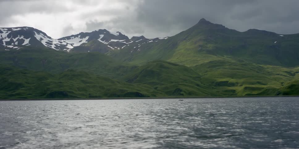 Mountains above the sea full of whales