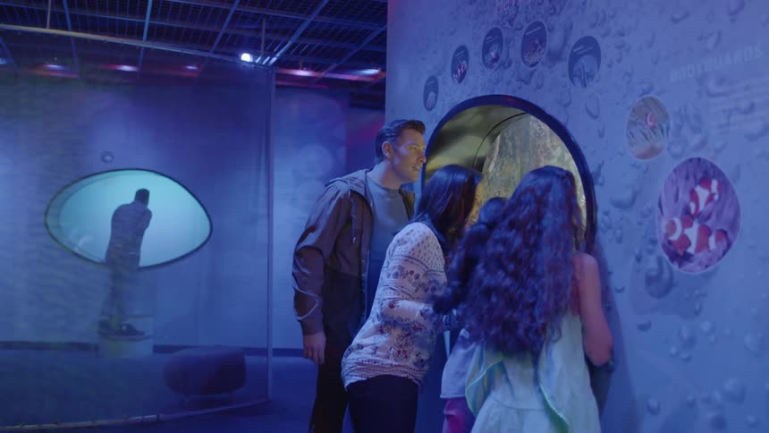 A family looks into a museum exhibit excitedly