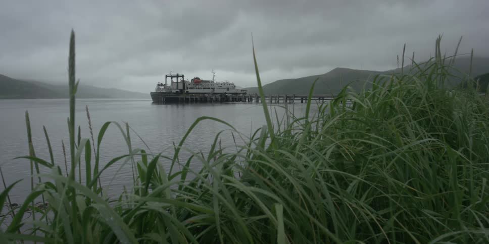Grass near the sea with a docked boat