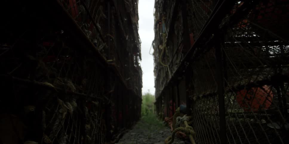 A row of crab pots during the day
