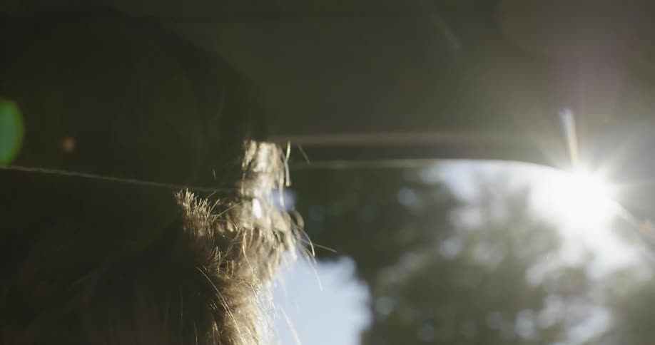 Man drives a car on a sunny day