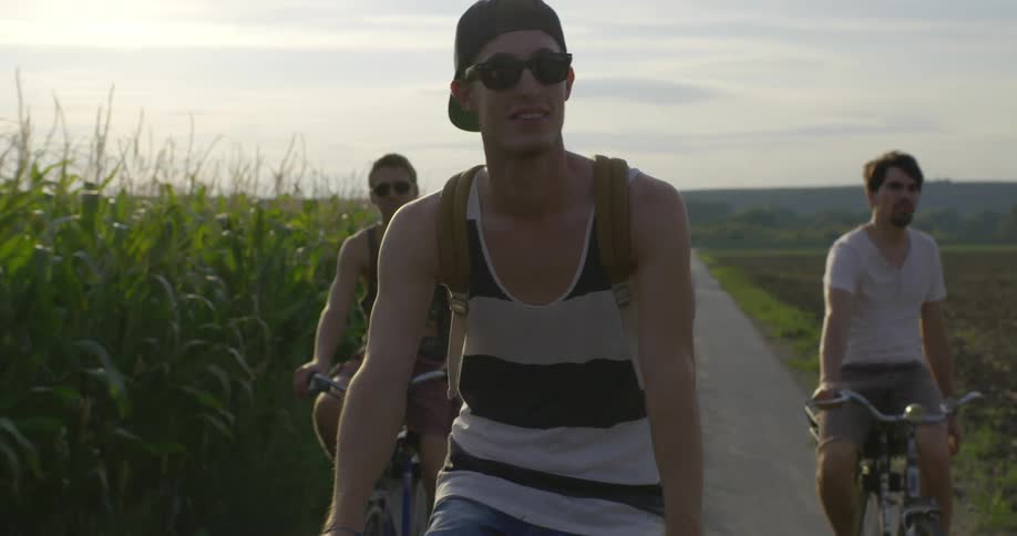 Three men ride bicycles along a corn field