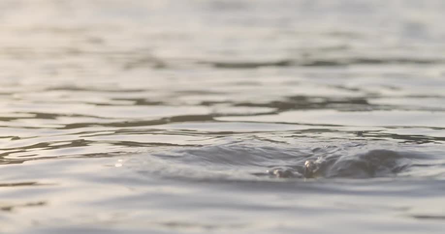 A man dunks under the water to get wet