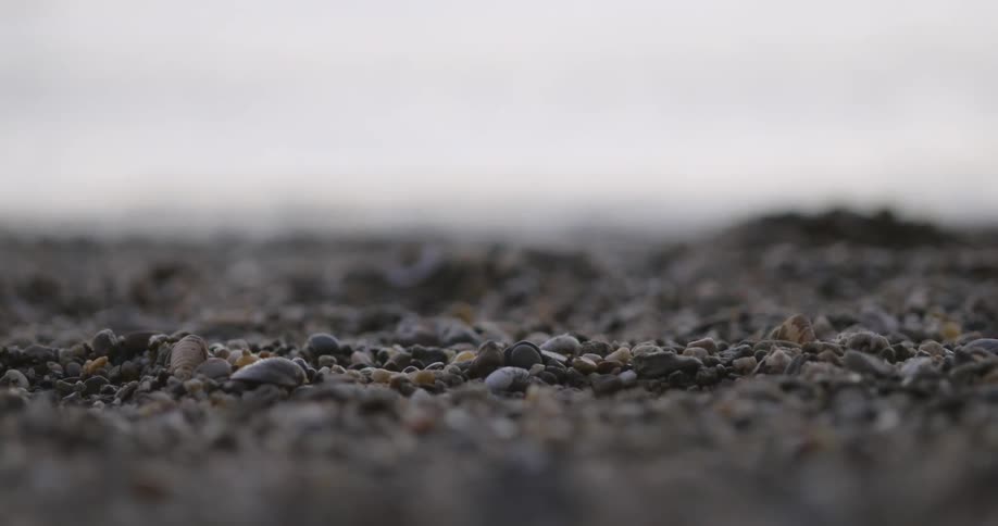 A hand picks up a pebble on a beach