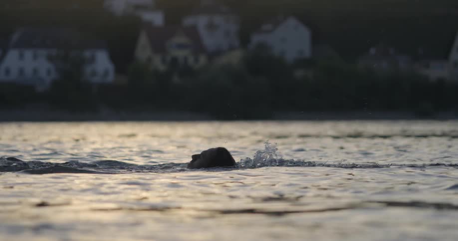 A man in a lake leans back and starts doing the backstroke